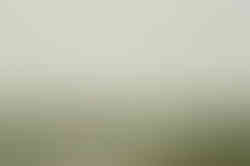 a floating dock in the bay