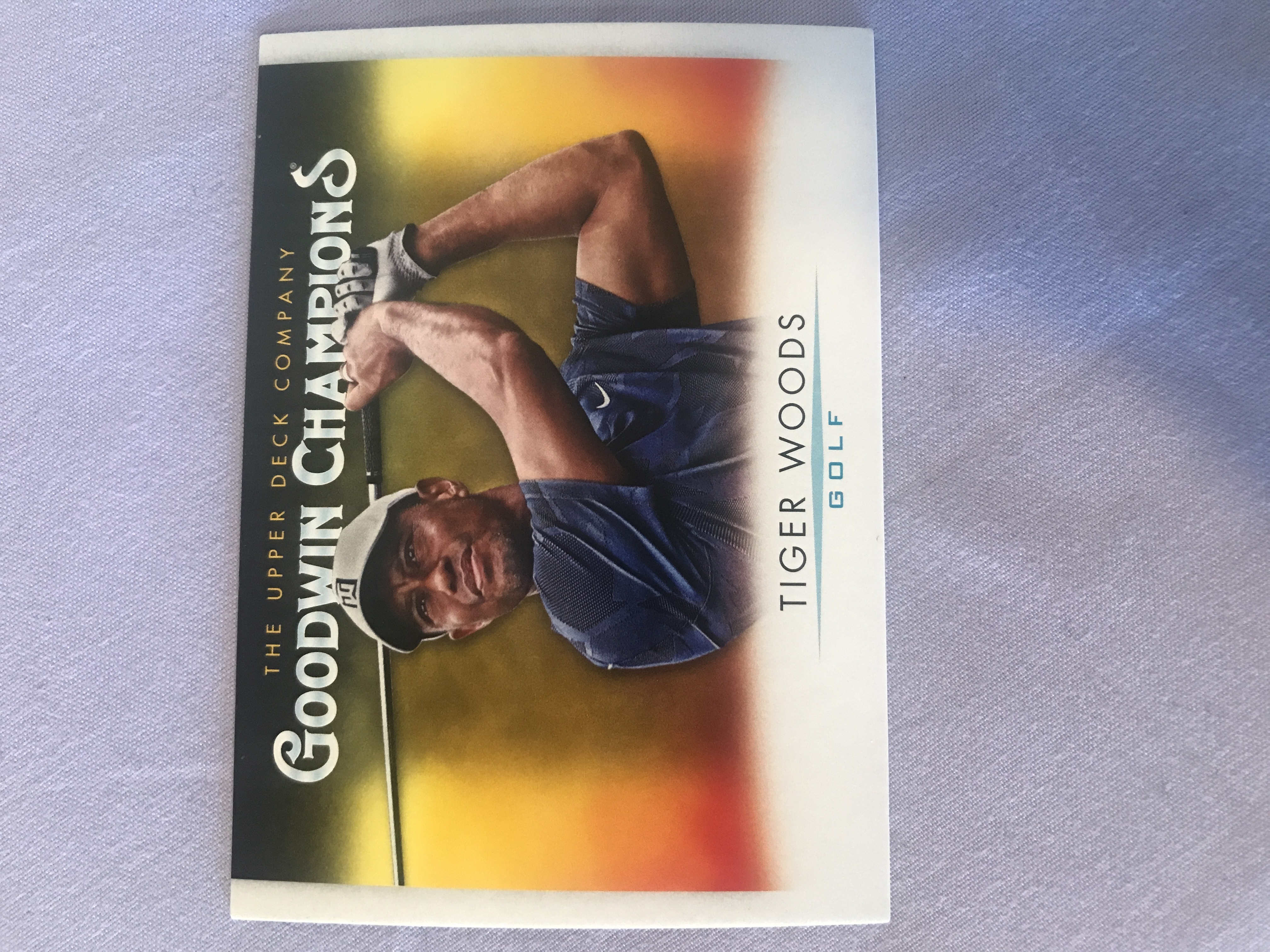 Goodwin Champions Tiger Woods