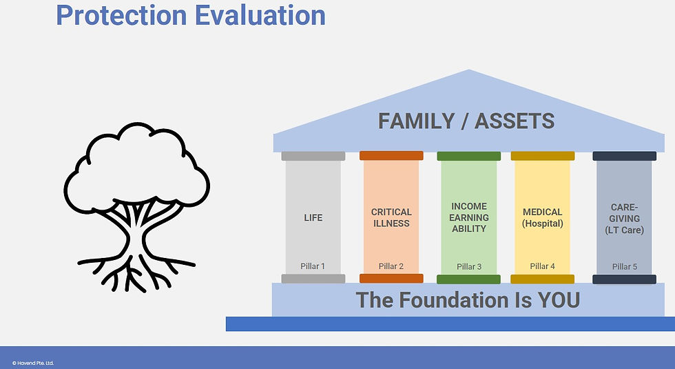 Havend's assessment of the pillars of our various protection needs