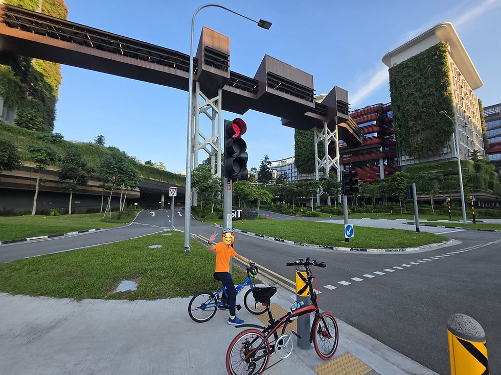 Waiting at the traffic light to cross, obeying the rules and being watchful at all times