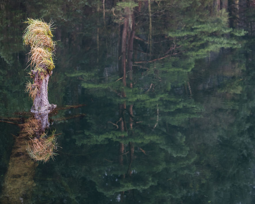 Intimate Landscapes Mark Gilligan