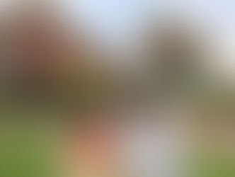 సౌత్ ఆఫ్రికా అనుభవం – తెలుగు దేశం పార్టీ మహానాడు పర్యటన.