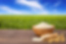 rice-table-against-green-field (1).jpg