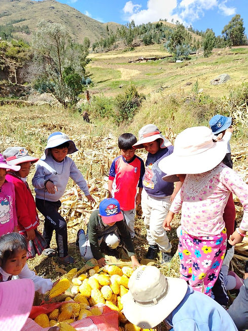 Bimbi con lavorazione agricola perù.jpeg