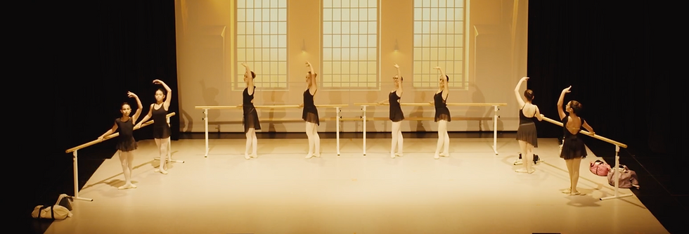 Body divisa (Classico 5)