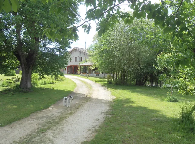 Chambres D Hotes Gers 32 Demu Arie Chez Joe Et Michel