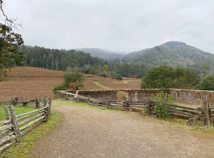 DFA9D672-F508-4039-A6BA-3460EDD104FF.jpeg