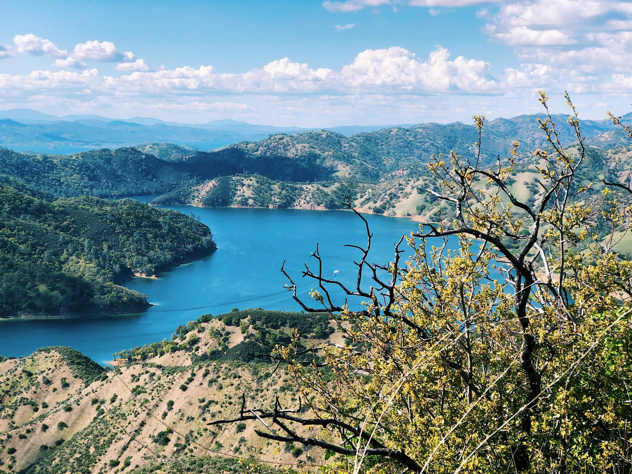 Avery's Pond Trail La Chic Lemonade