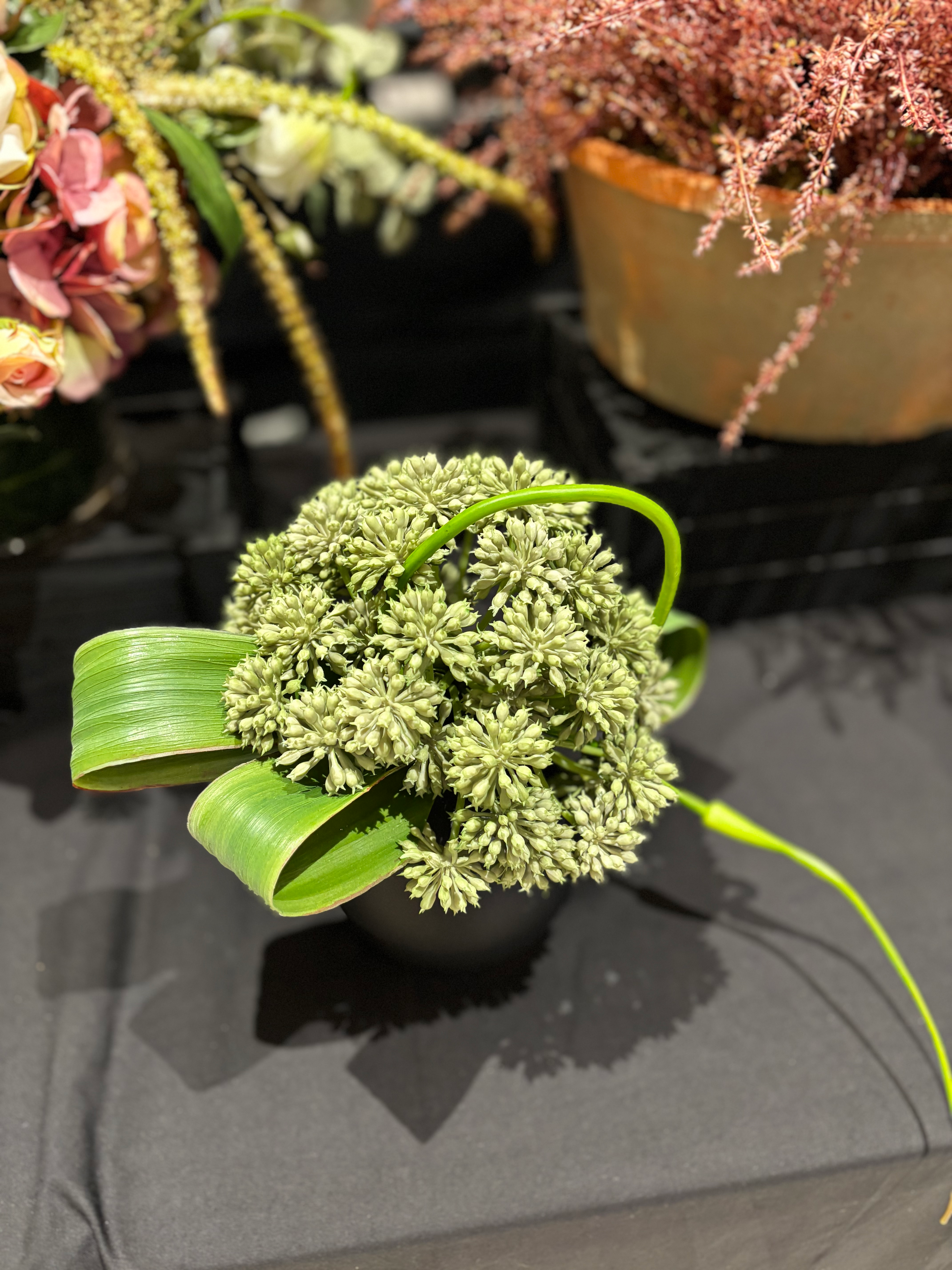 Angelica in Bud Vase