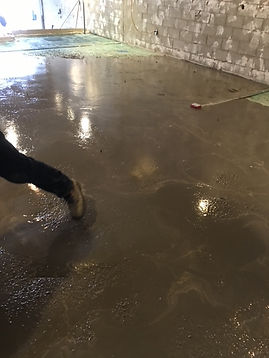 floor