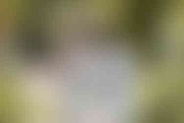 Wedding reception at the Glasshouse, RHS Wisley Gardens