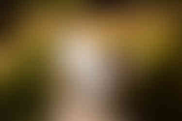 Steven and Jodie wedding portraits at RHS Wisley Gardens