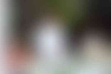 Wedding speeches at the Glasshouse, RHS Wisley Gardens