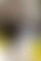 Bride and groom walking through the grounds of The Grove Hotel in Watford