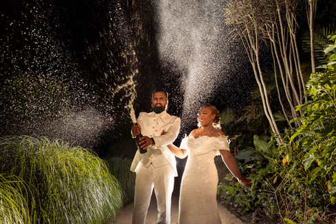 Creative wedding portraits at the Glasshouse, RHS Wisley Gardens