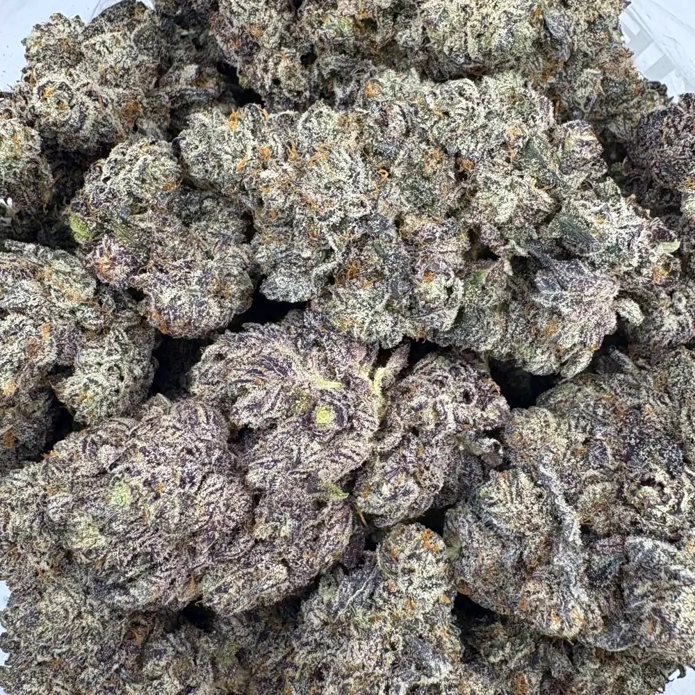 Black Truffle *Oz*
