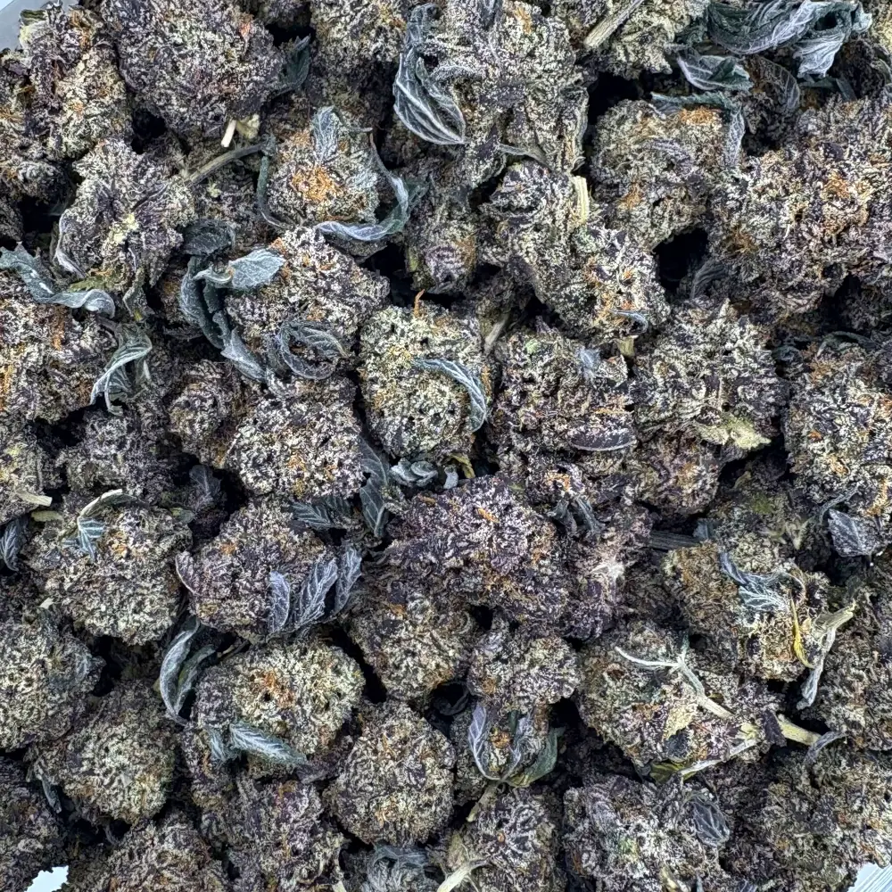 Purple Space Queen *Bulk*