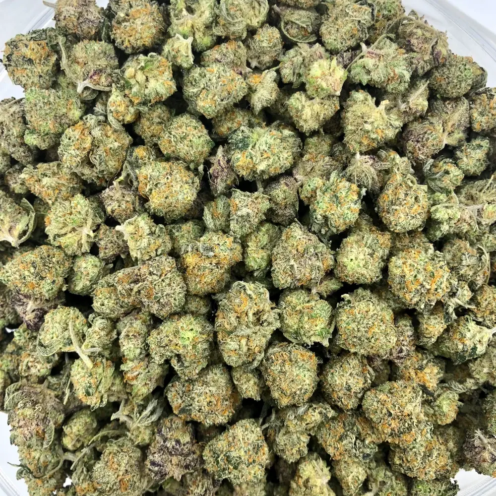 Durban Poison *Oz*
