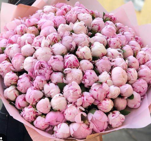 Миниатюра: Мечта Паони (Пион)