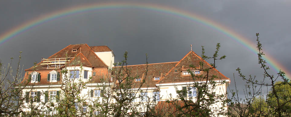 Regenbogen_Moosrain