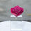 Miniatura: Pedestal Mediano Rosa Magna