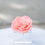 Miniatura: Pedestal Chico-Rosa Magna