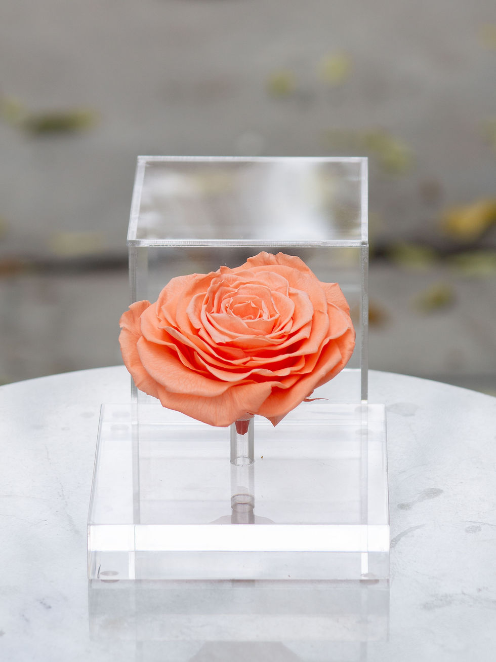 Miniatura: Capelo Acrilico