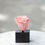Miniatura: Pedestal Mármol Grande NC-Rosa Grande
