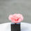 Miniatura: Pedestal Mármol Grande MN-Flor Magna