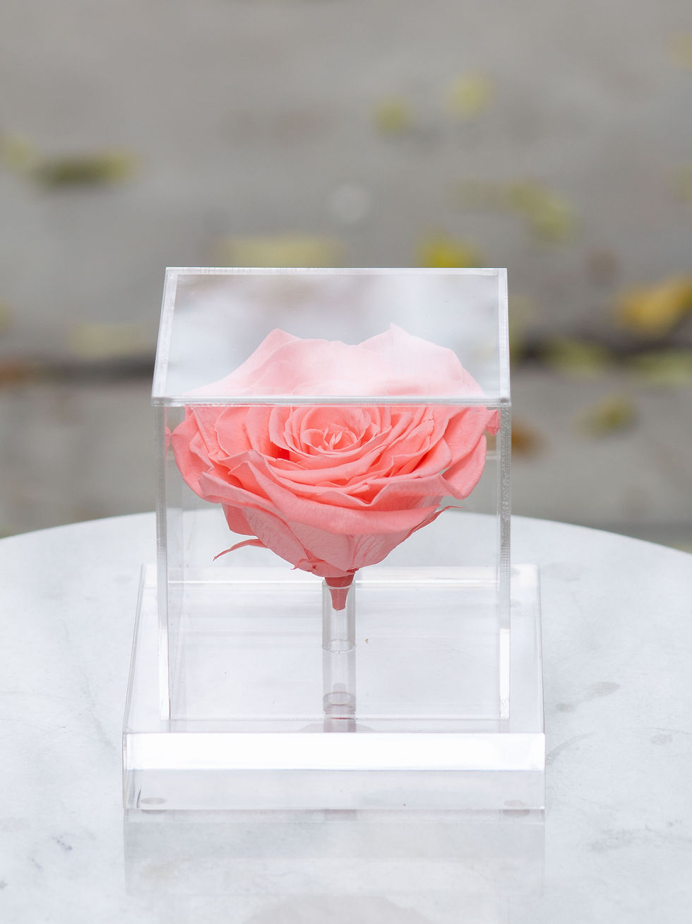 Miniatura: Capelo Acrilico