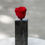 Miniatura: Pedestal Mármol Grande NC-Rosa Grande