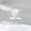 Miniatura: Pedestal Acrílico Grande-Rosa Grande