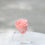 Miniatura: Pedestal Acrílico Chico-Rosa Grande