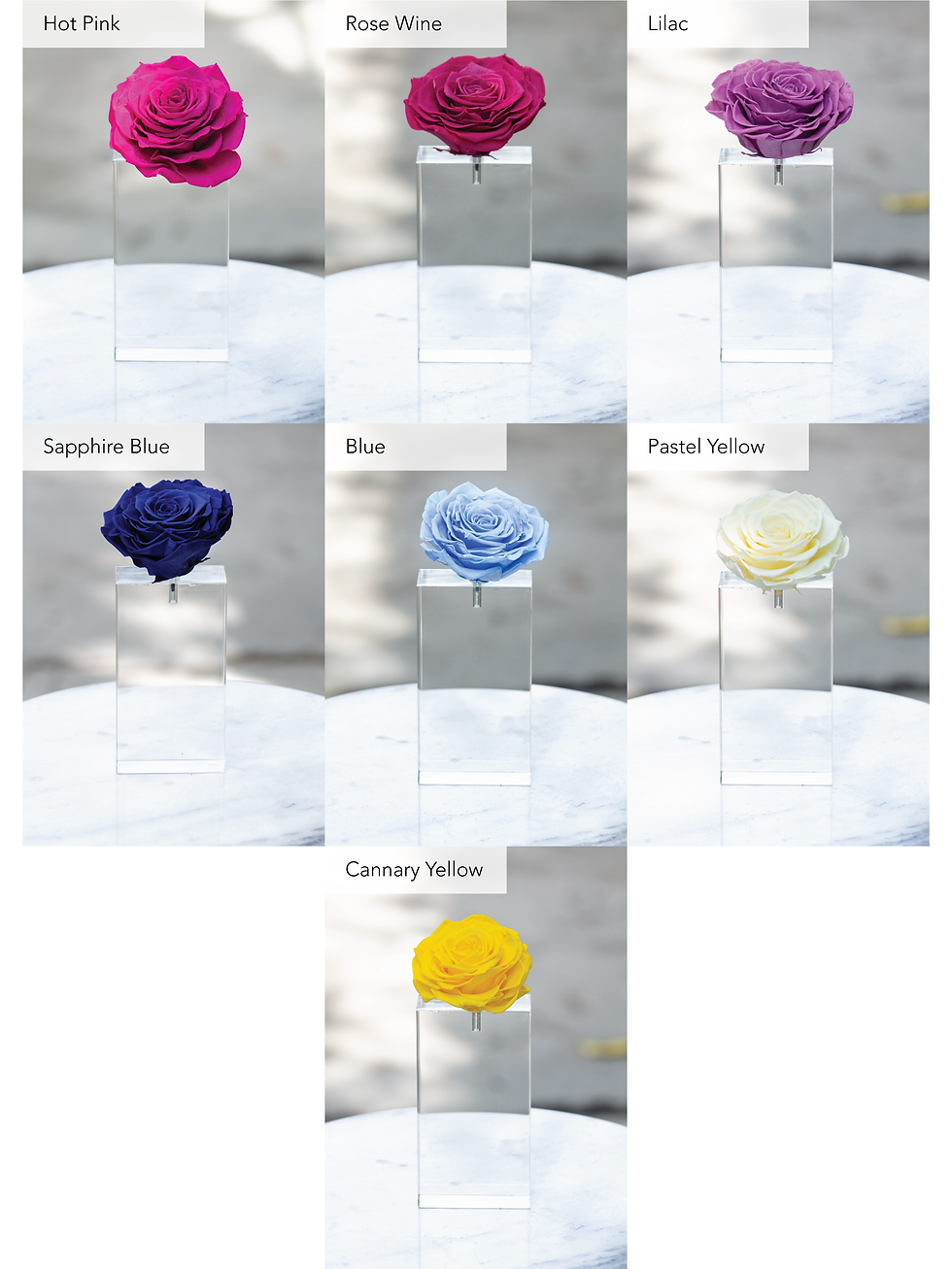 Miniatura: Pedestal Acrílico Grande-Rosa Magna