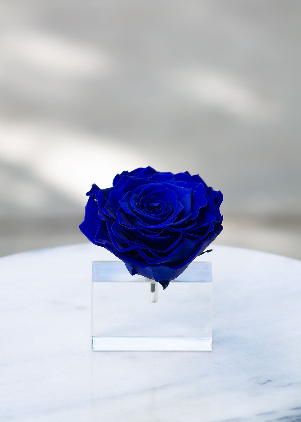 Miniatura: Pedestal Chico-Rosa Magna