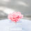 Miniatura: Pedestal Acrílico Grande-Rosa Magna