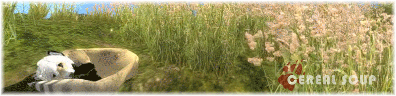 cs_signature_banner_suricate_by_blackmailchan-d9qetzw