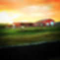 Mountain Bliss HOrse barn.jpg
