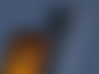 MIUI 12 update rolling out for POCO F1 as pilot/beta testing