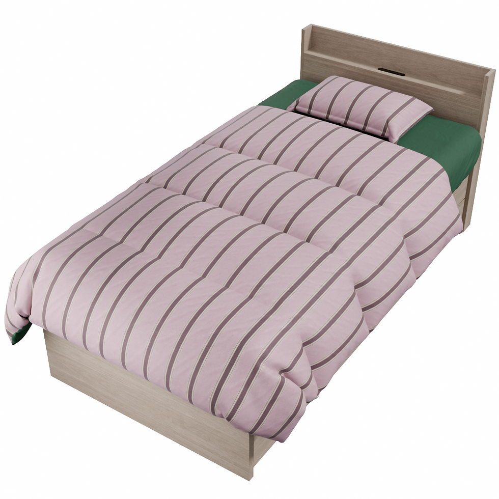 OBF003-Single bed frame with storage-1 (1).png