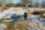 DSC_0022_edited.jpg