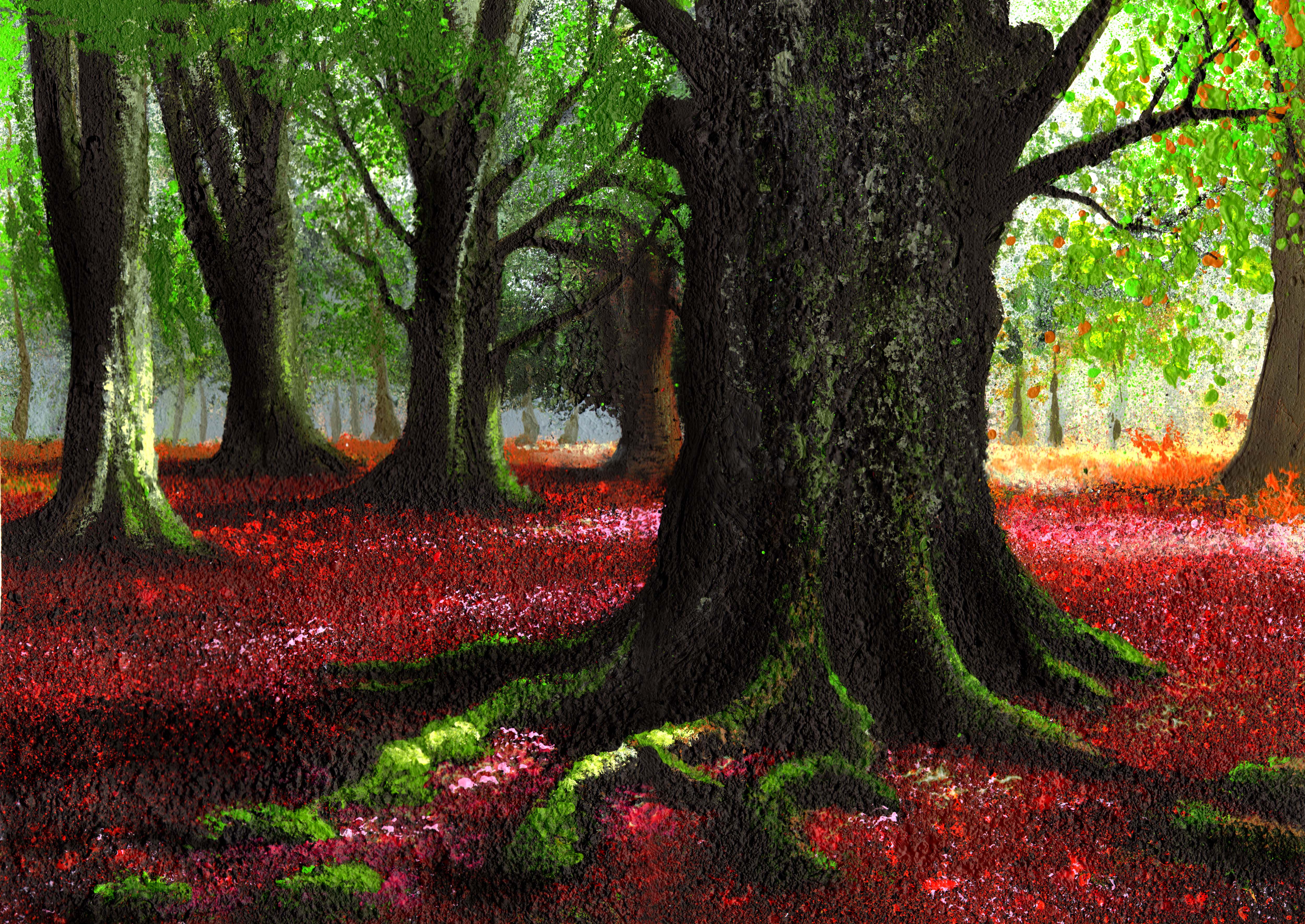 Beeches