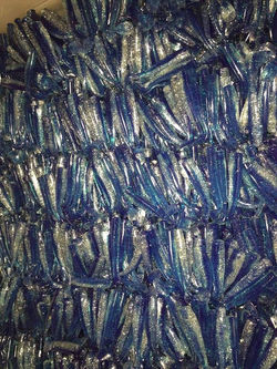 17690066_1257551084281385_1830724198_n