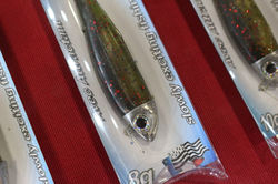 17193663_1741675826145672_108297637_o