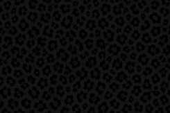 4c3095b5-cca9-462a-a5ef-6ca575c71b0f.png