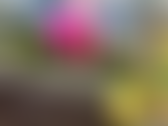 The Power of a Flower