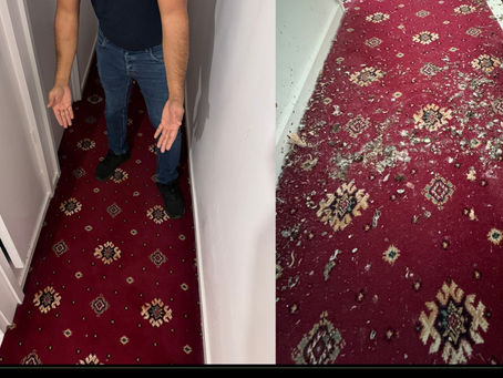The Marvelous World of Carpet Cleaning: A Journey to Fluffiness and Freshness