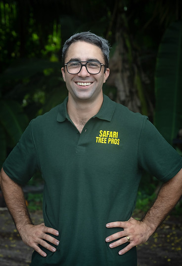 safari tree pros