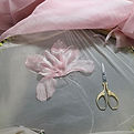 2cf088bd-5f8d-4a2f-86dc-9b58c9c80feb.jpg