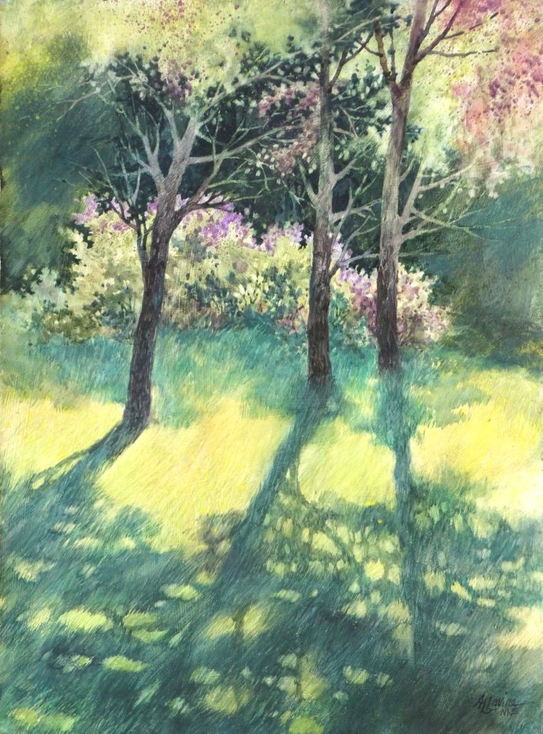 Morning Shadows